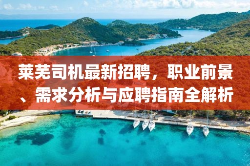 萊蕪司機(jī)最新招聘,職業(yè)前景、需求分析與應(yīng)聘指南全解析