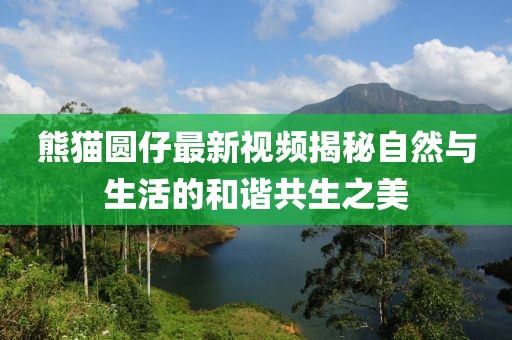 熊貓圓仔最新視頻揭秘自然與生活的和諧共生之美