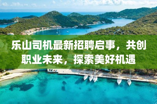 樂山司機最新招聘啟事,共創(chuàng)職業(yè)未來,探索美好機遇