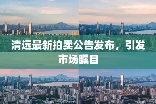 清遠最新拍賣公告發布,引發市場矚目