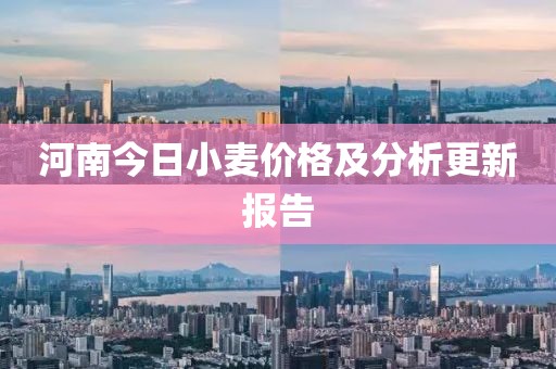 河南今日小麥價(jià)格及分析更新報(bào)告