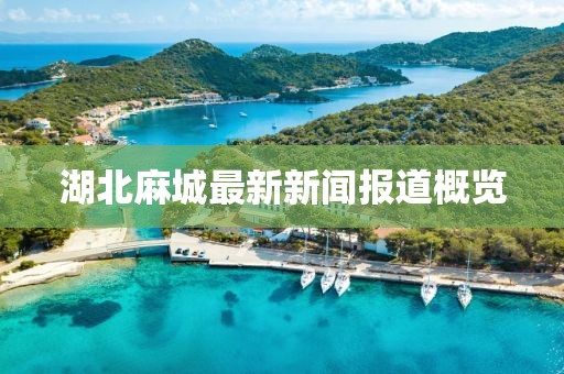 湖北麻城最新新聞報(bào)道概覽