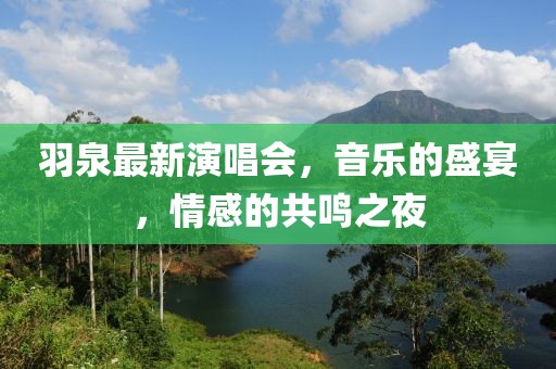 羽泉最新演唱會，音樂的盛宴，情感的共鳴之夜