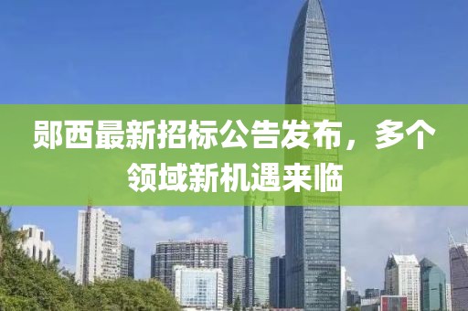 鄖西最新招標(biāo)公告發(fā)布,多個(gè)領(lǐng)域新機(jī)遇來(lái)臨