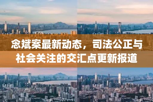 念斌案最新動態,司法公正與社會關注的交匯點更新報道