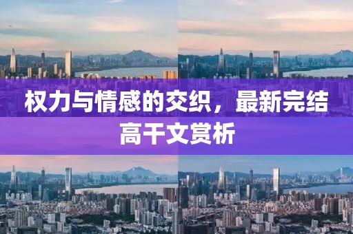權力與情感的交織，最新完結高干文賞析