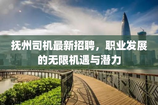 撫州司機(jī)最新招聘,職業(yè)發(fā)展的無限機(jī)遇與潛力