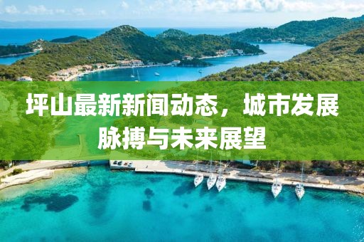 坪山最新新聞動態,城市發展脈搏與未來展望