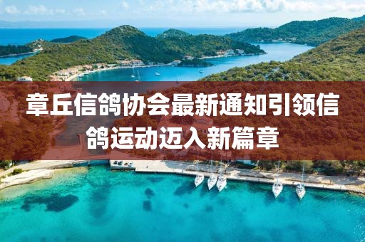 章丘信鴿協(xié)會最新通知引領信鴿運動邁入新篇章