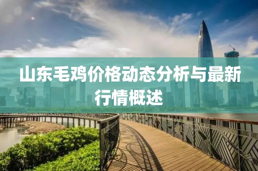山東毛雞價(jià)格動(dòng)態(tài)分析與最新行情概述