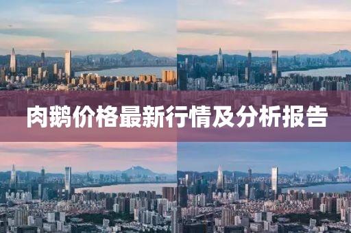 肉鵝價格最新行情及分析報告