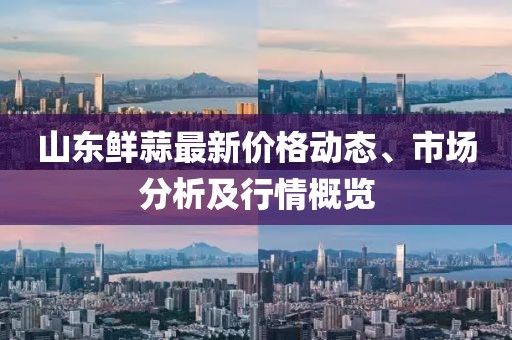 山東鮮蒜最新價格動態(tài)、市場分析及行情概覽