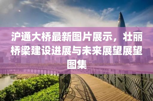滬通大橋最新圖片展示,壯麗橋梁建設進展與未來展望展望圖集