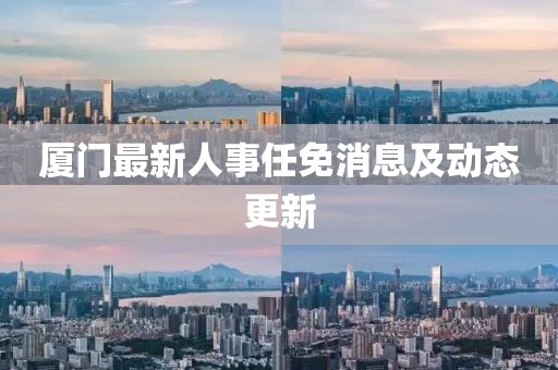 廈門最新人事任免消息及動態更新