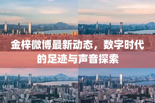 金梓微博最新動(dòng)態(tài),數(shù)字時(shí)代的足跡與聲音探索