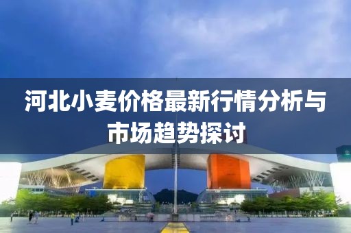 河北小麥價格最新行情分析與市場趨勢探討