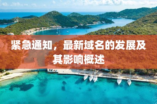 緊急通知,最新域名的發展及其影響概述