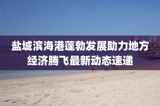 鹽城濱海港蓬勃發(fā)展助力地方經(jīng)濟騰飛最新動態(tài)速遞