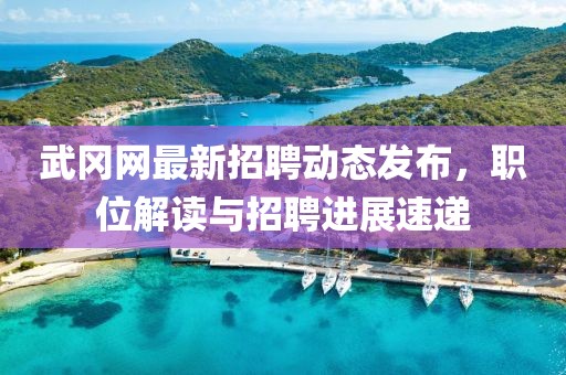 武岡網(wǎng)最新招聘動態(tài)發(fā)布,職位解讀與招聘進(jìn)展速遞