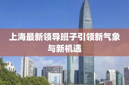 上海最新領(lǐng)導(dǎo)班子引領(lǐng)新氣象與新機(jī)遇
