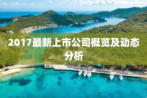 2017最新上市公司概覽及動態分析