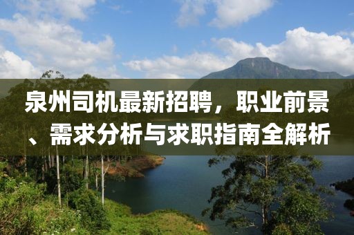 泉州司機最新招聘,職業前景、需求分析與求職指南全解析