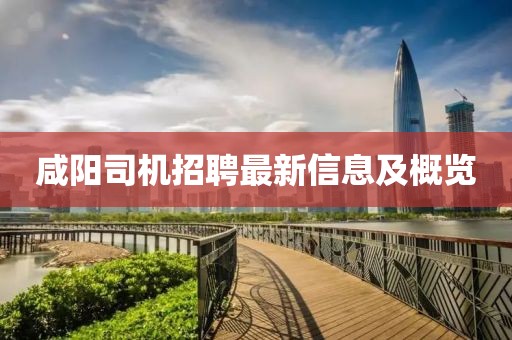 咸陽司機招聘最新信息及概覽