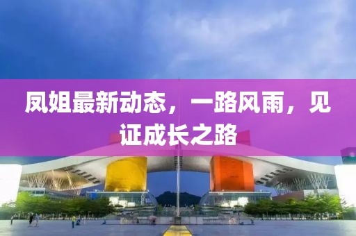 鳳姐最新動態(tài),一路風(fēng)雨,見證成長之路