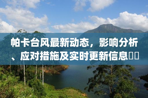 帕卡臺風最新動態,影響分析、應對措施及實時更新信息??