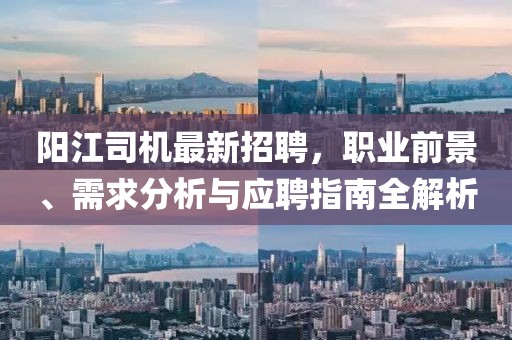 陽江司機(jī)最新招聘,職業(yè)前景、需求分析與應(yīng)聘指南全解析