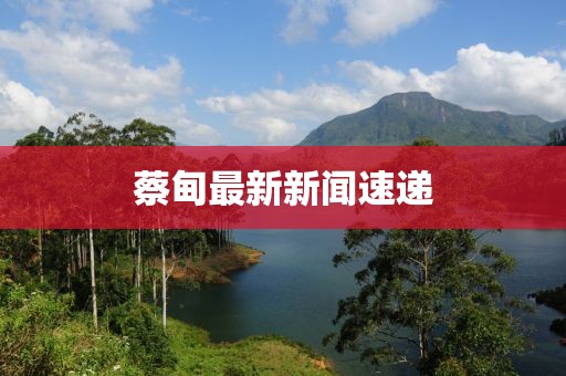 蔡甸最新新聞速遞