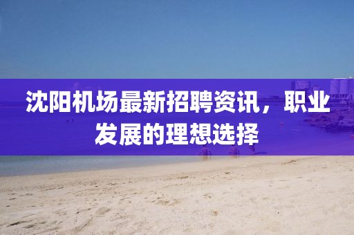 沈陽(yáng)機(jī)場(chǎng)最新招聘資訊,職業(yè)發(fā)展的理想選擇
