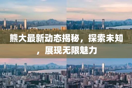 熊大最新動態揭秘,探索未知,展現無限魅力
