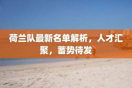 荷蘭隊最新名單解析,人才匯聚,蓄勢待發