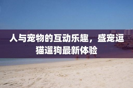 人與寵物的互動樂趣,盛寵逗貓遛狗最新體驗
