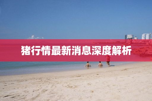 豬行情最新消息深度解析