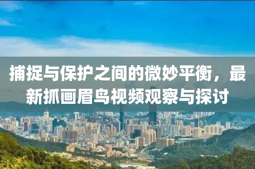 捕捉與保護(hù)之間的微妙平衡,最新抓畫眉鳥視頻觀察與探討