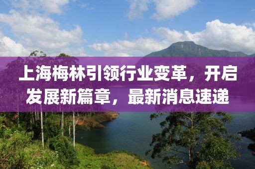 上海梅林引領行業變革,開啟發展新篇章,最新消息速遞