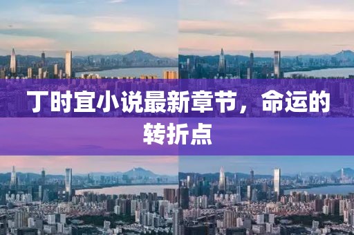 丁時宜小說最新章節,命運的轉折點
