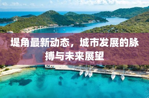 堤角最新動態,城市發展的脈搏與未來展望