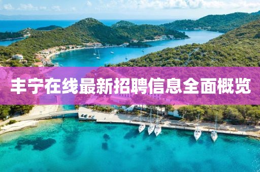 豐寧在線最新招聘信息全面概覽