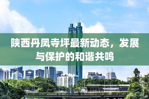 陜西丹鳳寺坪最新動態,發展與保護的和諧共鳴