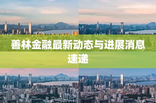善林金融最新動態與進展消息速遞