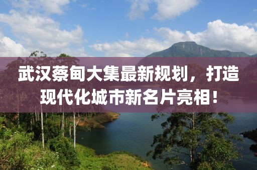 武漢蔡甸大集最新規(guī)劃,打造現(xiàn)代化城市新名片亮相!