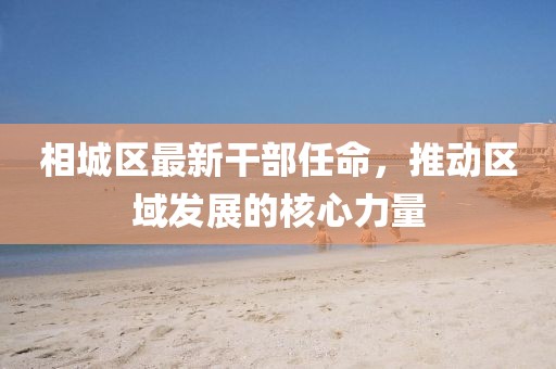 相城區最新干部任命,推動區域發展的核心力量