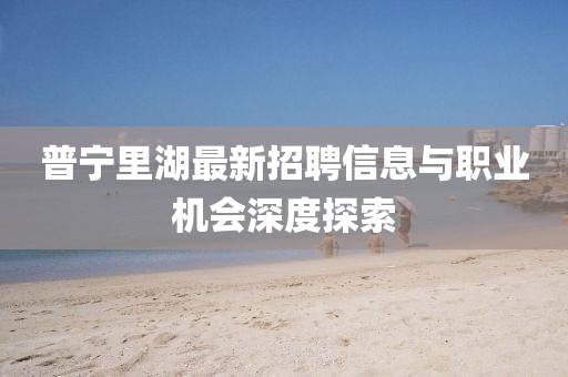 普寧里湖最新招聘信息與職業機會深度探索