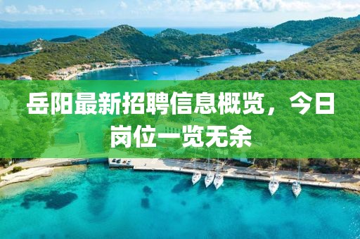 岳陽最新招聘信息概覽,今日崗位一覽無余