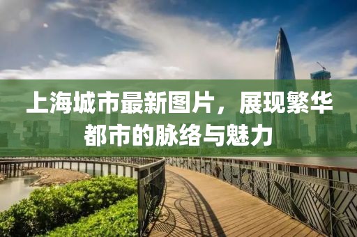 上海城市最新圖片,展現(xiàn)繁華都市的脈絡(luò)與魅力
