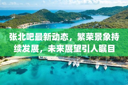 張北吧最新動態,繁榮景象持續發展,未來展望引人矚目