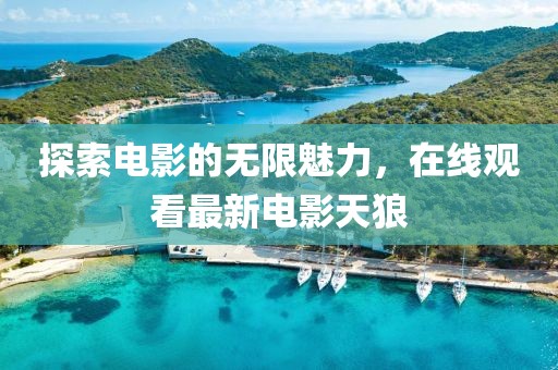 探索電影的無限魅力,在線觀看最新電影天狼